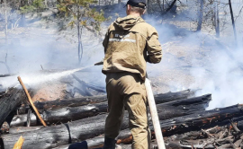 За сутки один пожар потушили в лесном фонде Иркутской области 