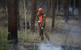 Два пожара действуют в лесном фонде Иркутской области 